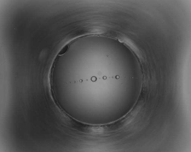 X0000089711291200706281506