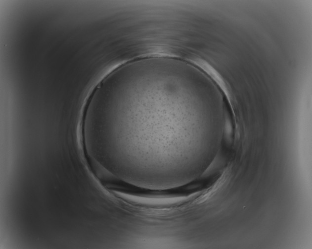 X0000089711293200706281506