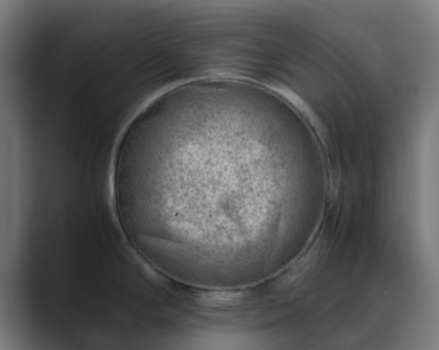 X0000089711294200706281506