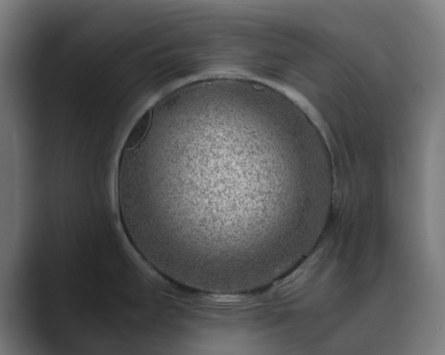 X0000089711295200706281506