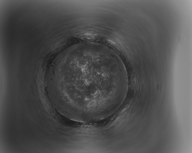 X0000089711297200706281505