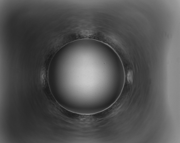 X0000089711299200706281505