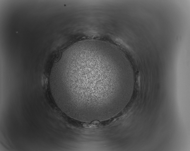 X0000089711302200706281505