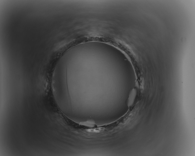 X0000089711303200706281505