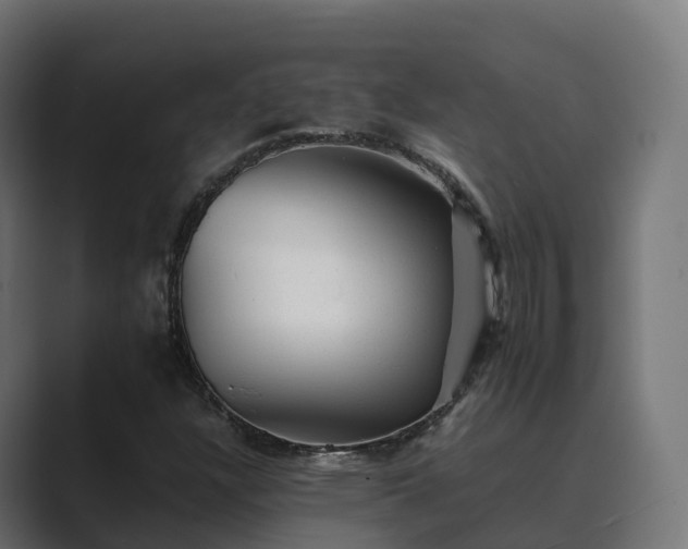 X0000089711304200706281505