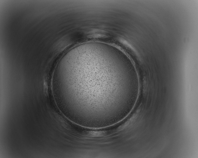 X0000089711305200706281505