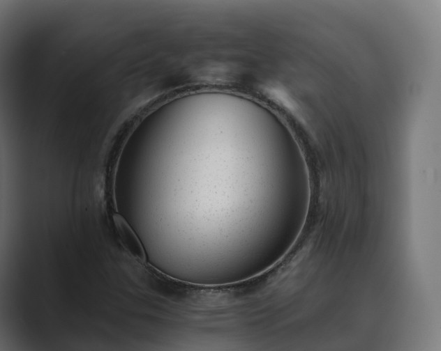 X0000089711307200706281505