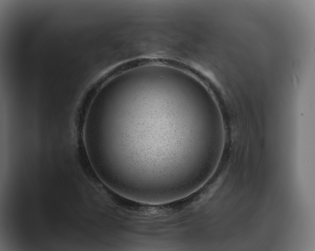 X0000089711311200706281505