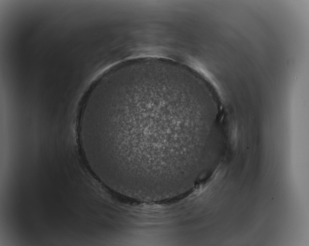 X0000089711312200706281505