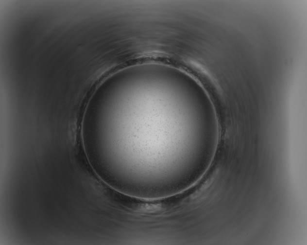 X0000089711313200706281505