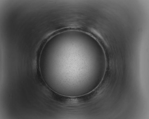 X0000089711315200706281505