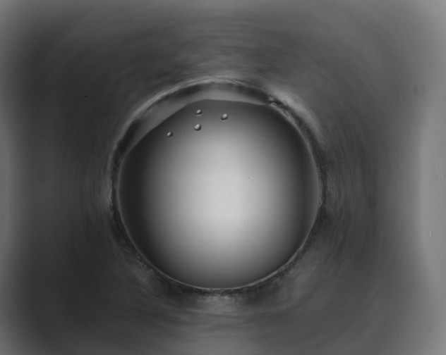 X0000089711316200706281505