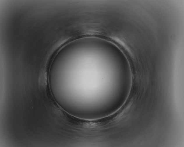 X0000089711317200706281505