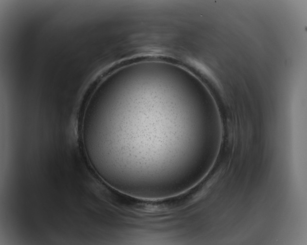 X0000089711318200706281505