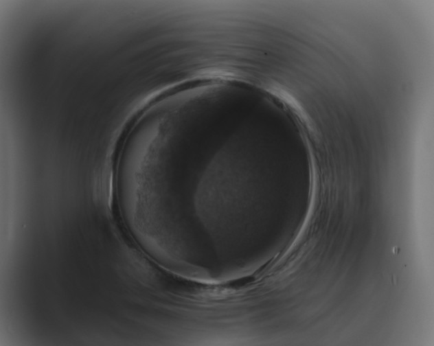 X0000089711323200706281505