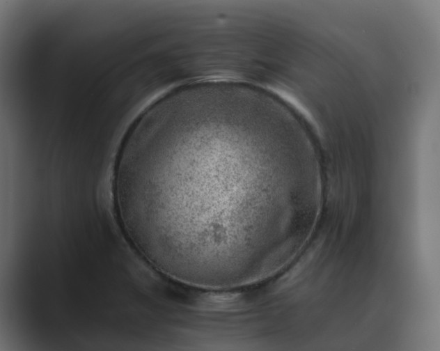 X0000089711325200706281505