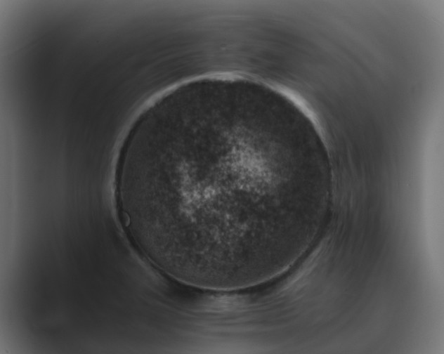 X0000089711327200706281505