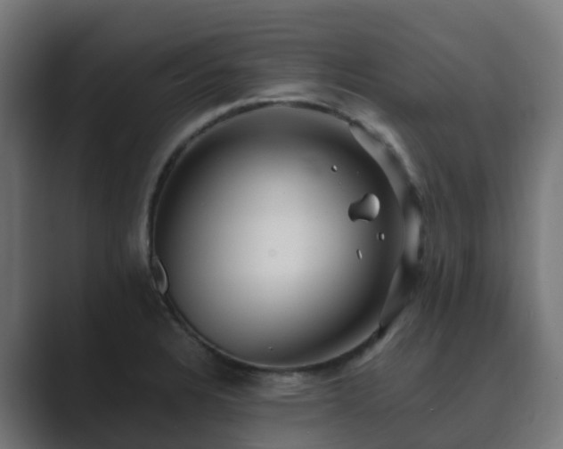 X0000089711328200706281505