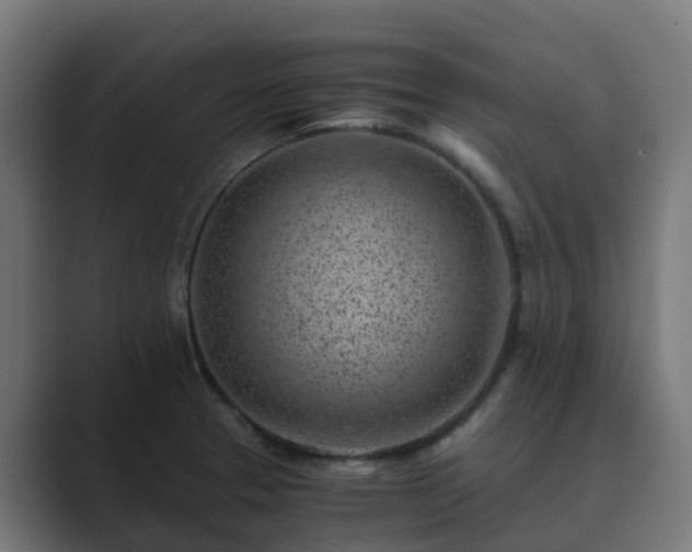 X0000089711329200706281505