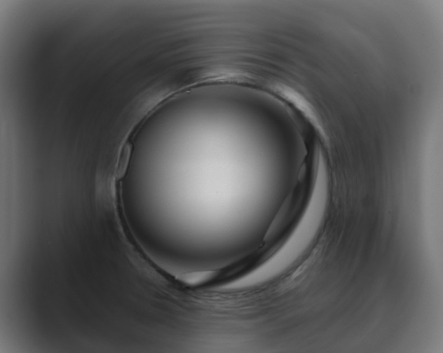 X0000089711330200706281505