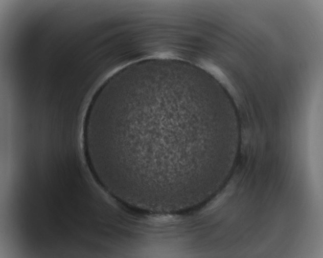 X0000089711331200706281505