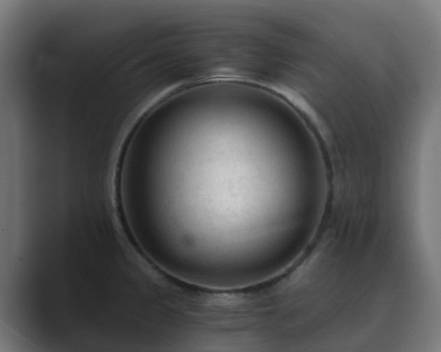 X0000089711333200706281505