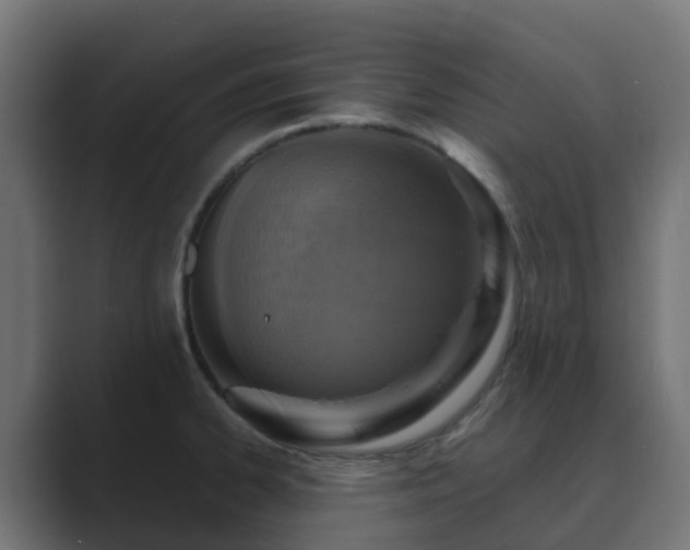 X0000089711334200706281505