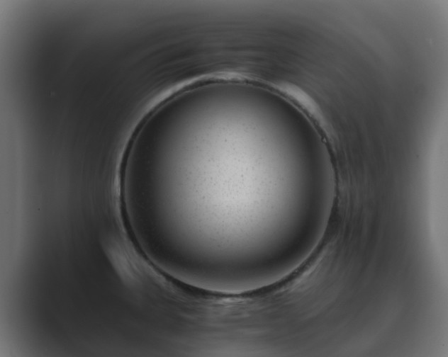 X0000089711335200706281505