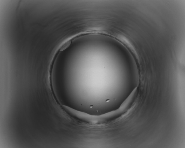 X0000089711336200706281505