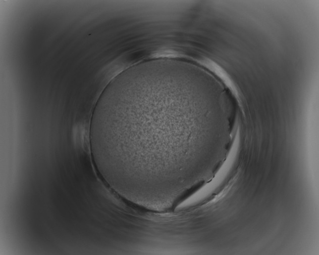 X0000089711337200706281505