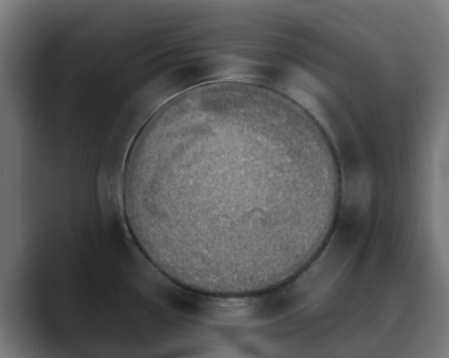 X0000089711338200706281505