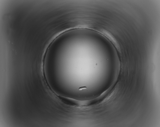 X0000089711340200706281505