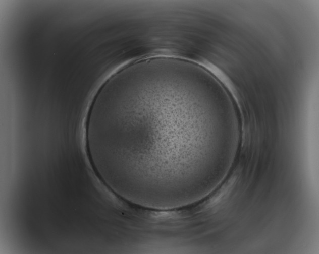 X0000089711341200706281505