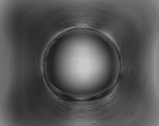 X0000089711342200706281505