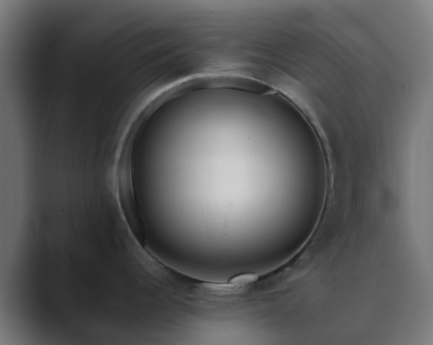 X0000089711344200706281506