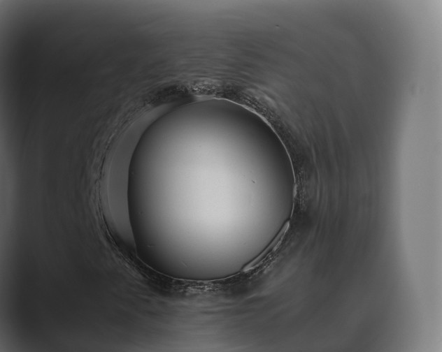 X0000089711345200706281505