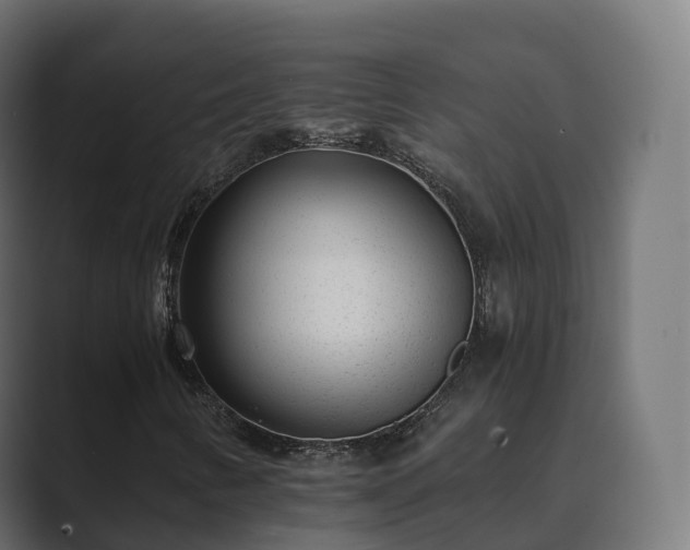 X0000089711346200706281505