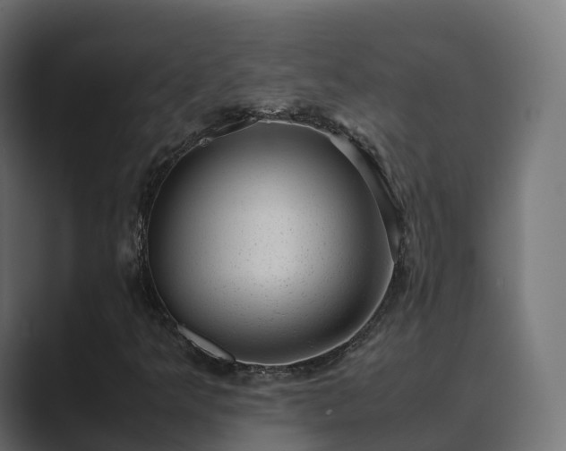 X0000089711349200706281505