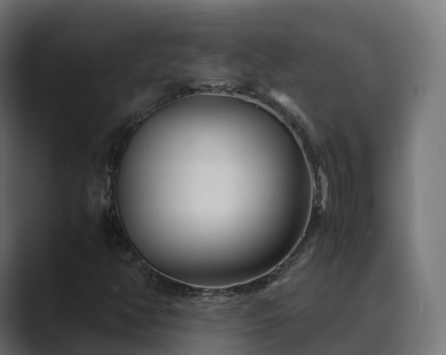 X0000089711350200706281505