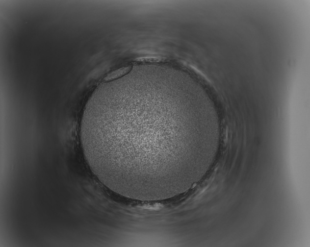 X0000089711351200706281505