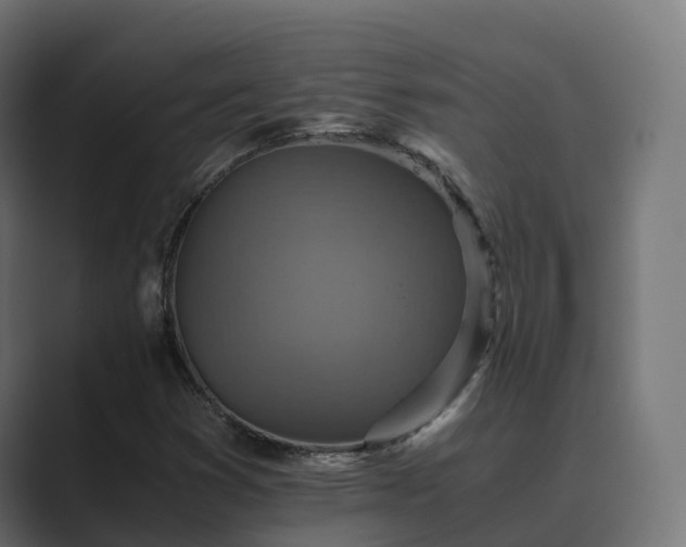 X0000089711353200706281505