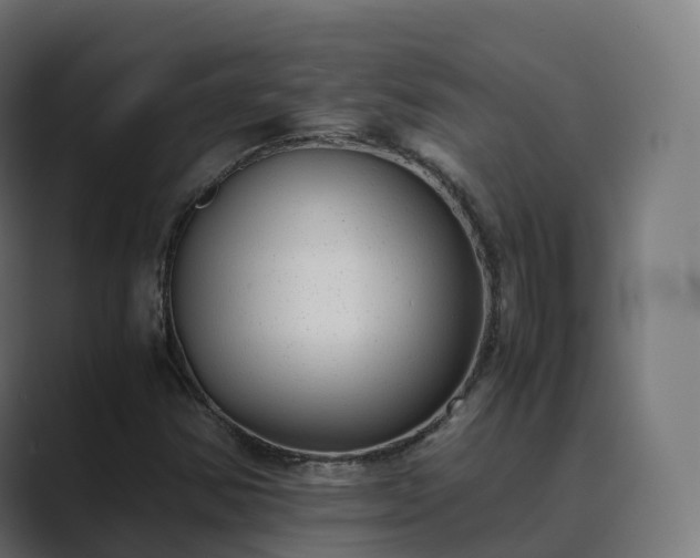 X0000089711354200706281505