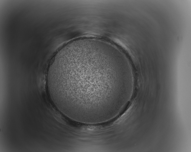 X0000089711355200706281505