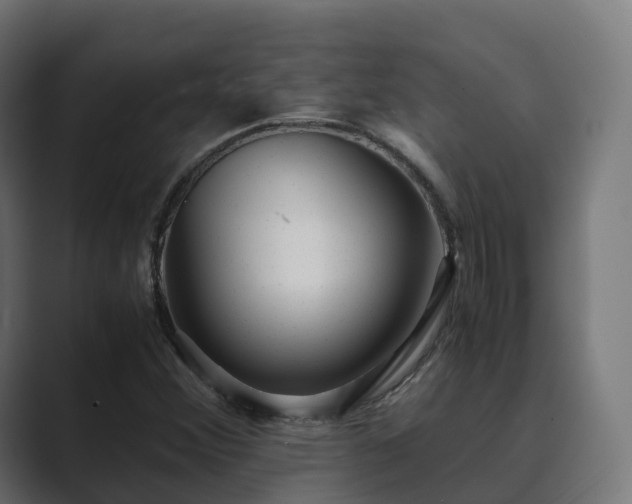 X0000089711356200706281505