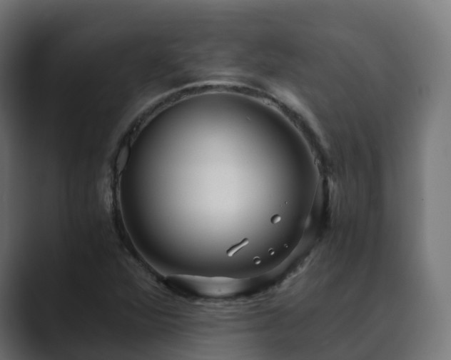 X0000089711360200706281505