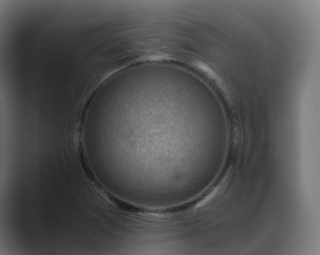 X0000089711361200706281505