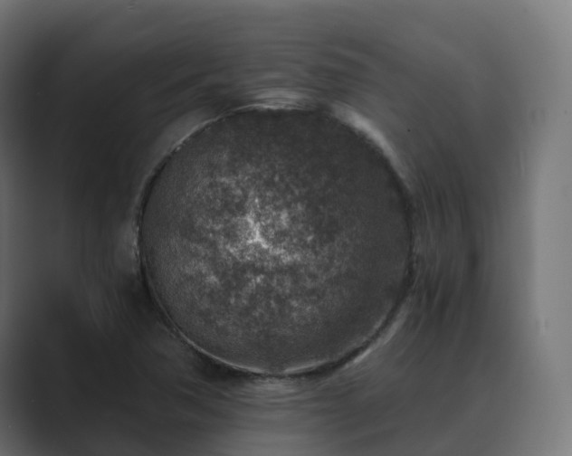 X0000089711362200706281505