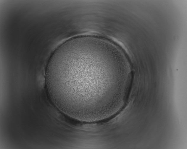 X0000089711363200706281505