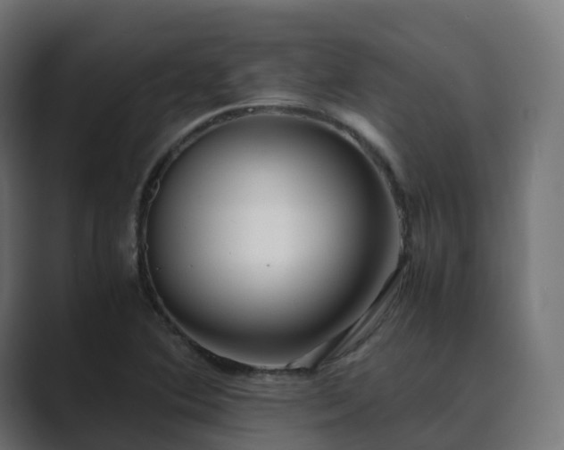 X0000089711364200706281505