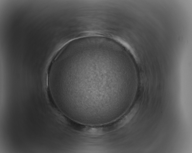 X0000089711365200706281505